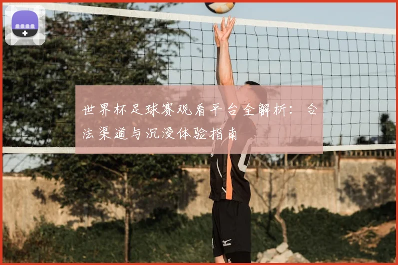 世界杯足球赛观看平台全解析:合法渠道与沉浸体验指南