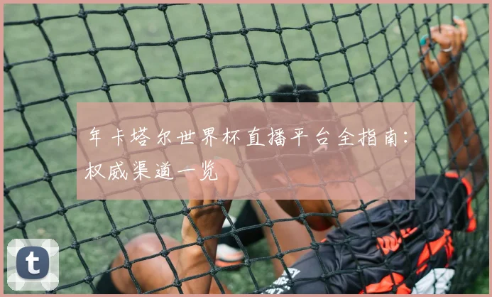年卡塔尔世界杯直播平台全指南：权威渠道一览